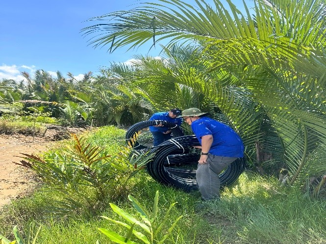 dmk031025_6.jpg (188 KB)